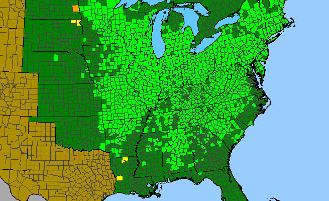 The range of Geranium maculatum